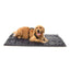 FuzzYard FY Active 90x120 cm Reisematte für Hunde (Größe L)