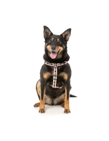 FuzzYard FY Active Strap verstellbares Hundegeschirr, Pfirsich (Größe XS)