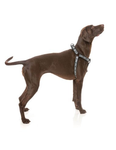 FuzzYard FY Active Strap verstellbares Hundegeschirr, Schwarz (Größe XS)