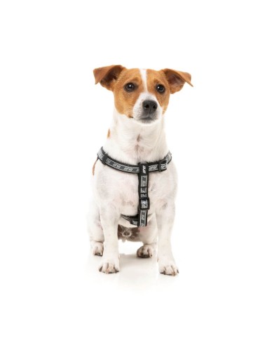 FuzzYard FY Active Strap verstellbares Hundegeschirr, Schwarz (Größe XS)