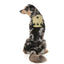 FuzzYard FY Active Go gepolstertes Hundegeschirr, Khaki (Größe XS)