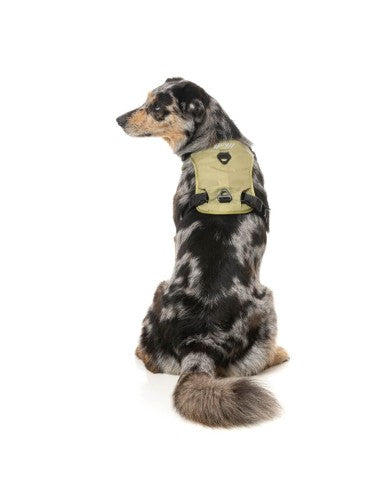 FuzzYard FY Active Go gepolstertes Hundegeschirr, Khaki (Größe XS)