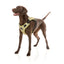 FuzzYard FY Active Go gepolstertes Hundegeschirr, Khaki (Größe XS)