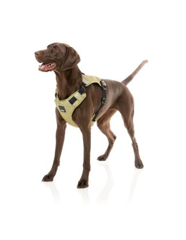 FuzzYard FY Active Go gepolstertes Hundegeschirr, Khaki (Größe XS)