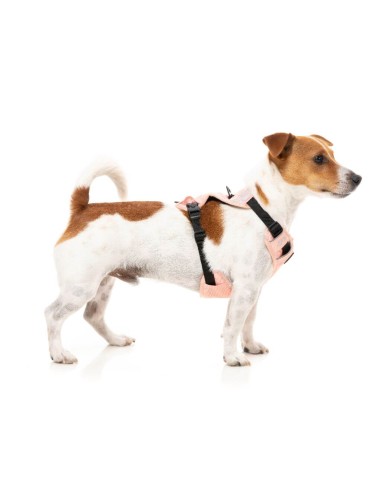 FuzzYard FY Active Go gepolstertes Hundegeschirr, Pfirsich (Größe XS)