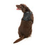 FuzzYard FY Active Go gepolstertes Hundegeschirr, Schwarz (Größe XS)