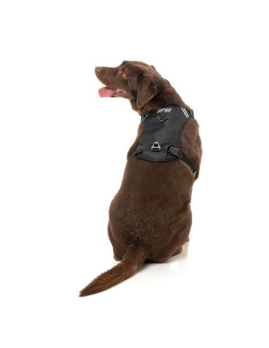 FuzzYard FY Active Go gepolstertes Hundegeschirr, Schwarz (Größe XS)
