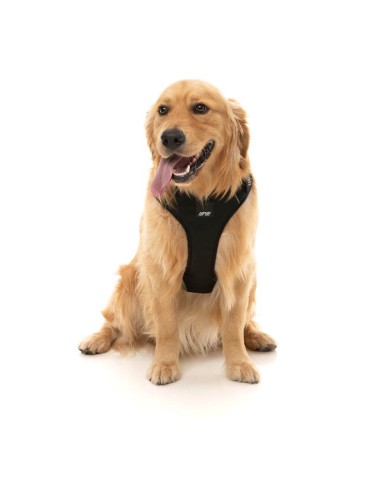 FuzzYard FY Active Go gepolstertes Hundegeschirr, Schwarz (Größe XS)