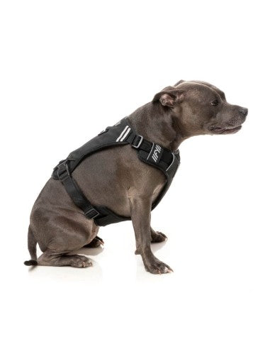 FuzzYard FY Active Go gepolstertes Hundegeschirr, Schwarz (Größe XS)