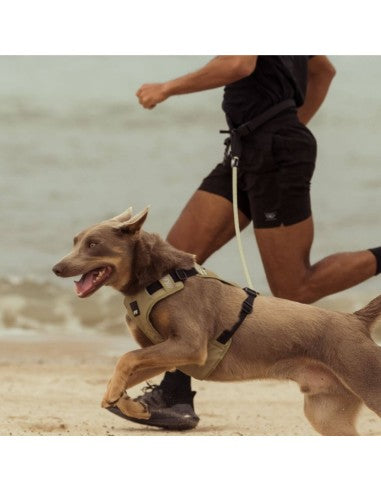 Laufgurt für Hunde FuzzYard FY Active Größe M/L