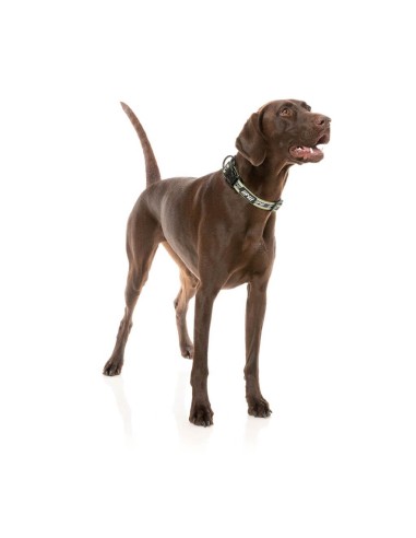 FuzzYard FY Active Neopren-Hundehalsband, Khaki (Größe S)