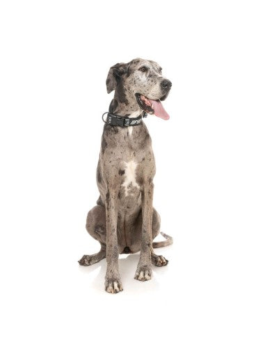 FuzzYard FY Active Neopren-Hundehalsband, Schwarz (Größe S)