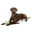 Schwimmendes Hundespielzeug FuzzYard Fetch N Float Khaki