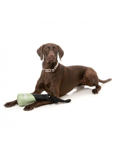 Schwimmendes Hundespielzeug FuzzYard Fetch N Float Khaki