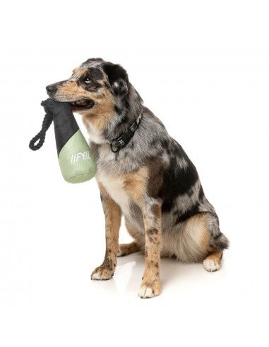 Schwimmendes Hundespielzeug FuzzYard Fetch N Float Khaki