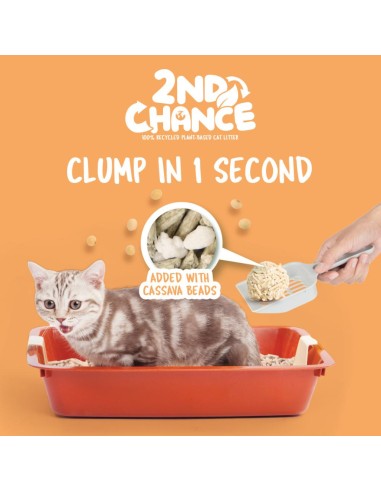 Katzenstreu klumpend Kit Cat 2nd Chance Erbse und Yucca 7 L