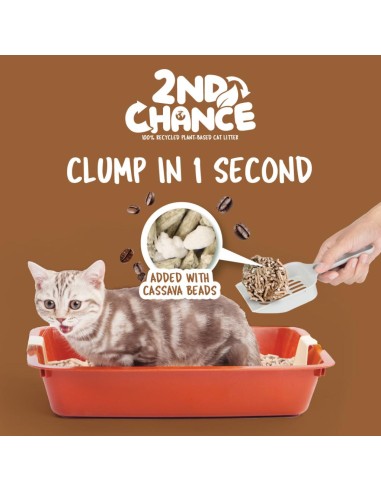 Katzenstreu klumpend Kit Cat 2nd Chance Kaffee 7 L