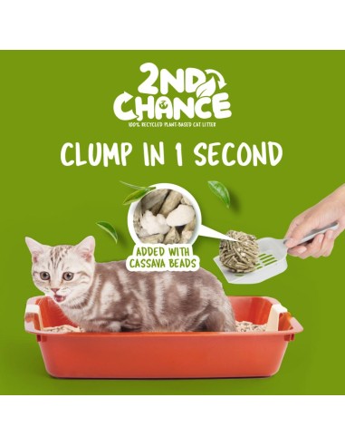 Katzenstreu klumpend Kit Cat 2nd Chance Grüntee 7 L
