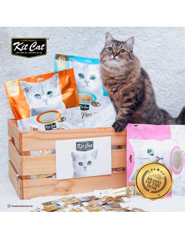 Katzensnack Kit Cat PurrPuree Huhn und Ballaststoffe 40 x 15 g