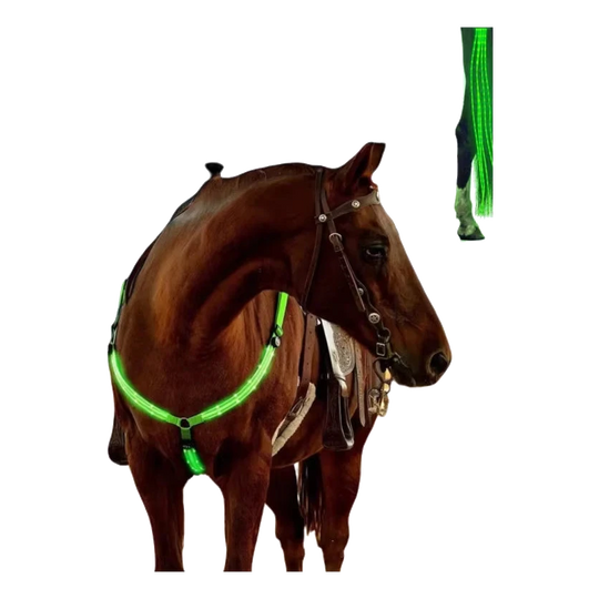 Caballo con kit de luces LED verde en el petral y las patas