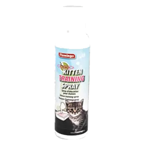Kitten Trainer Katzenspielzeug