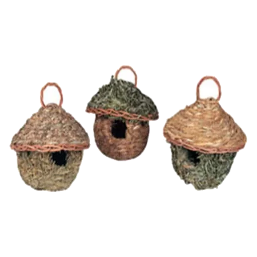 Tropische Vogelnester