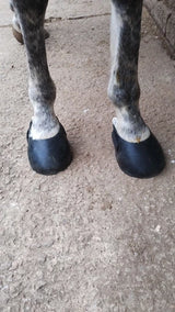 Foto de Anónimo de Hufschuhe für Barhufpferde, Größen S und L