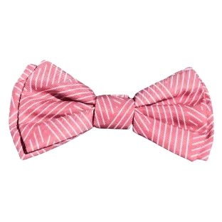 Hundefliege FuzzYard Thornbury Brick Red mit Klettverschluss