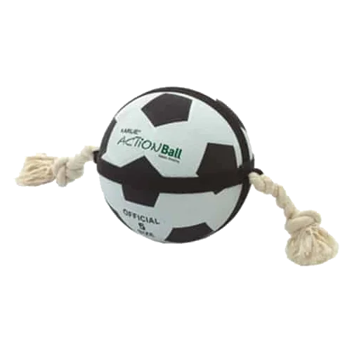 Actionbal Hundeball, 19 oder 22 cm