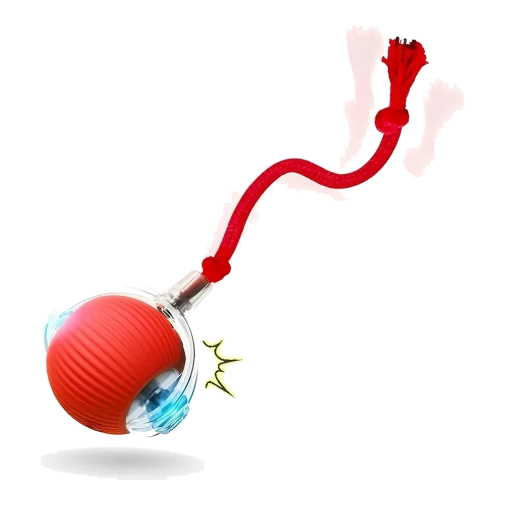 Automatischer Katzenball in Rot mit Schwanz