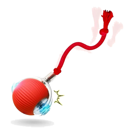 Automatischer Katzenball in Rot mit Schwanz