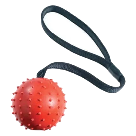 Classic Pimple Ball & Rope Hundespielzeug, 70 mm