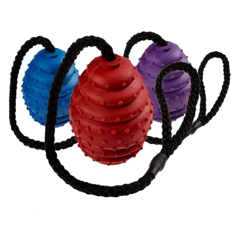 Classic ovaler Gummiball mit Seil für Hunde