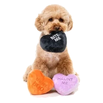 Halloween-Plüschspielzeug für Hunde FuzzYard Spooky Candy Hearts, 3er-Set