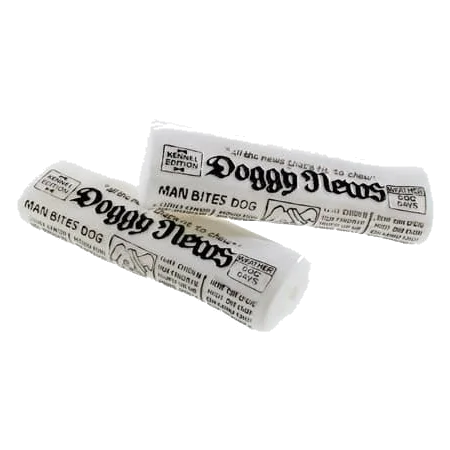 Hundespielzeug Zeitung aus Vinyl Classic, 180 mm