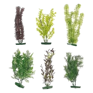 Große Aquarienpflanze sortiert, 30 cm