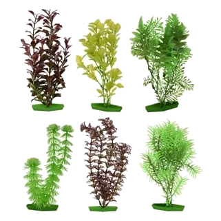 Mittlere Aquarienpflanze sortiert, 20 cm