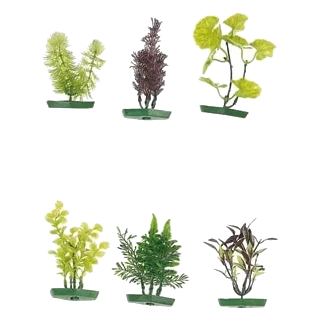 Kleine Aquarienpflanzen sortiert, 10 cm, 6 Stück
