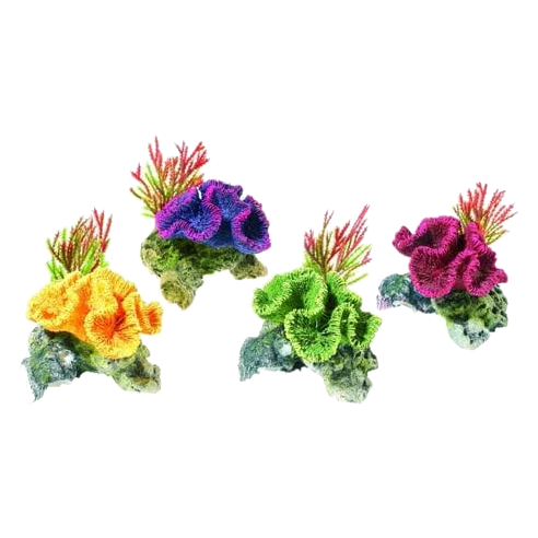 Pflanzen und Koralle für Aquarien