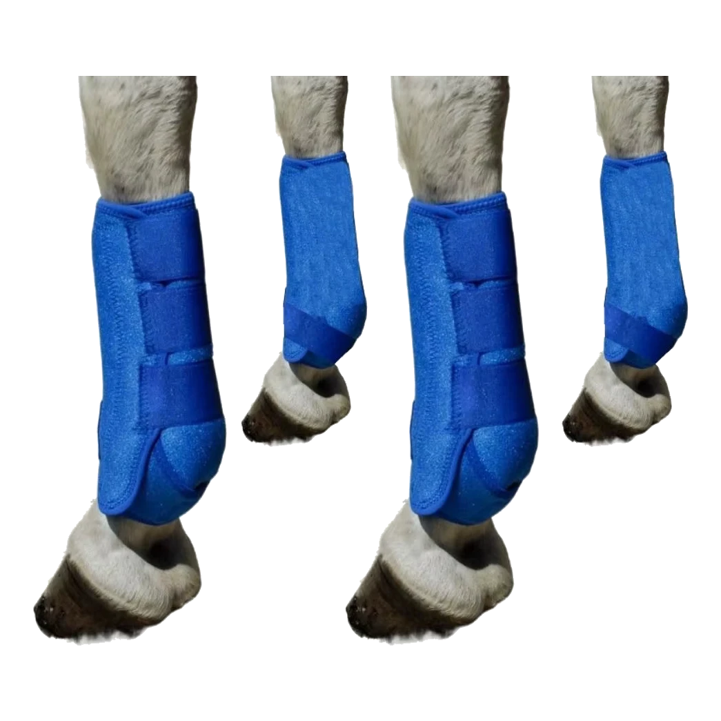 Blaue Sehnenschutz-Gamaschen für Pferde, 4er-Set