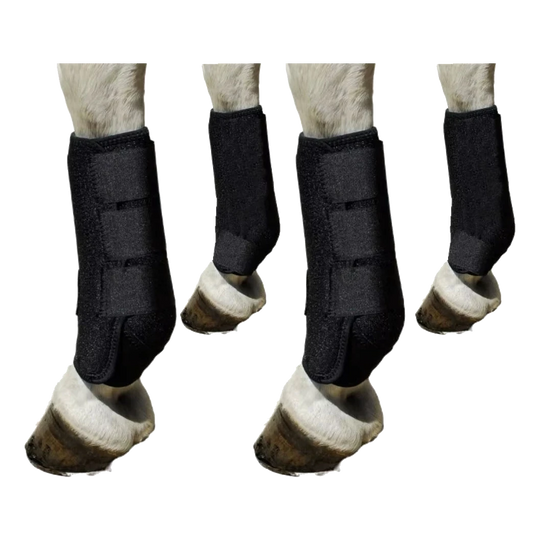Juego de 4 protectores de tendones negros para caballo