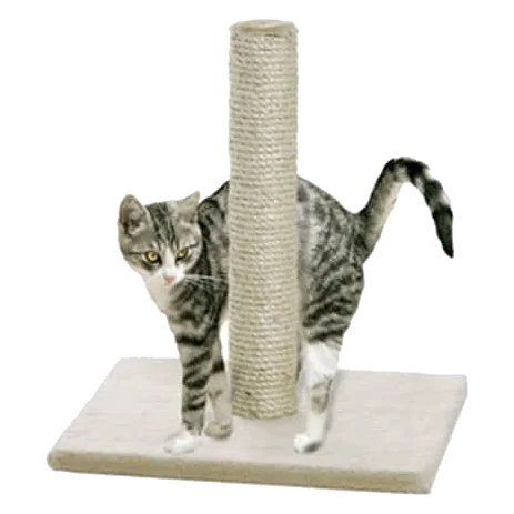 Lisa Kratzbaum für Katzen, Beige