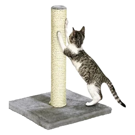 Polset Kratzbaum für Katzen, Grau