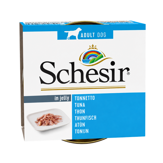 Schesir Thunfisch in Gelee für Hunde, Dose 150 g