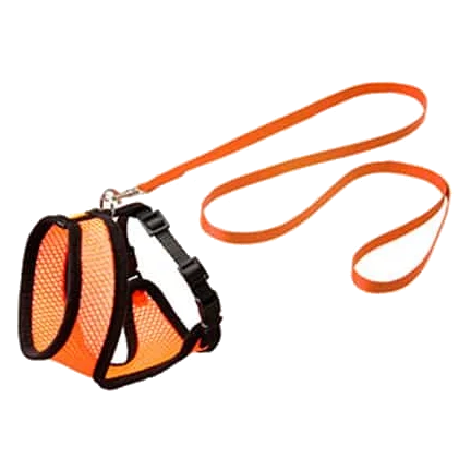 Kitten-Geschirr-Set mit Leine, Orange/Schwarz, 110 cm, 10 mm, Größe S
