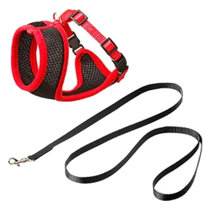 Kitten-Geschirr-Set mit Leine, Schwarz/Rot, 110 cm, 10 mm, Größe S