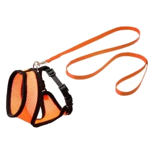 Katzengeschirr-Set mit Leine, Orange/Schwarz, 110 cm, 10 mm, Größe M