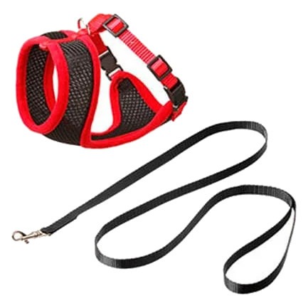 Katzengeschirr-Set mit Leine, Schwarz/Rot, 120 cm, 15 mm, Größe L