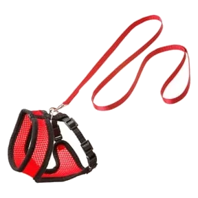 Katzengeschirr-Set mit Leine, Rot/Schwarz, 120 cm, 15 mm, Größe L