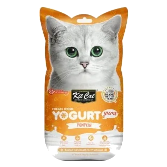Katzensnacks Kit Cat Yogurt Yums Kürbis 10 g